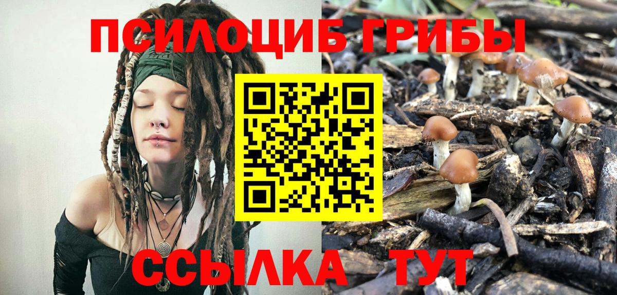 Псилоцибиновые грибы мухоморы Пятигорск
